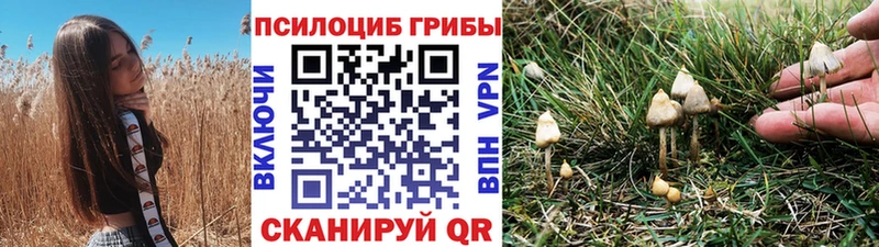 Псилоцибиновые грибы Psilocybine cubensis  кракен маркетплейс  Мураши  закладка 